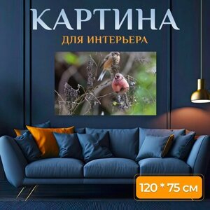 Картина на холсте "Дикие животные, птица, природные" на подрамнике 120х75 см. для интерьера