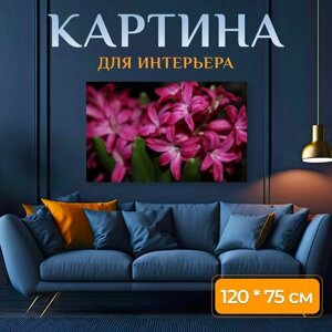 Картина на холсте "Гиацинты, цветы, весна" на подрамнике 120х75 см. для интерьера