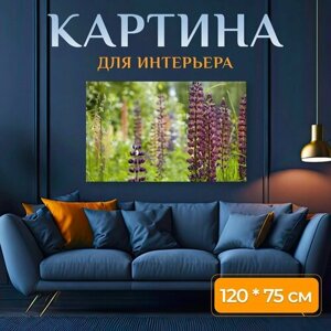 Картина на холсте "Лили, цветок, полевой цветок" на подрамнике 120х75 см. для интерьера