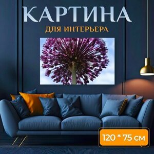 Картина на холсте "Лук, цветок, ботанический" на подрамнике 120х75 см. для интерьера