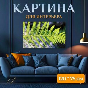 Картина на холсте "Папоротник, лесные растения, зеленый" на подрамнике 120х75 см. для интерьера