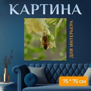 Картина на холсте "Пчела, насекомые, природа" на подрамнике 75х75 см. для интерьера