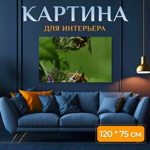 Картина на холсте "Пчелы, цветы, опыление" на подрамнике 120х75 см. для интерьера