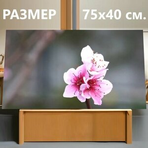 Картина на холсте "Персиковое дерево, весна, розовый" на подрамнике 75х40 см. для интерьера