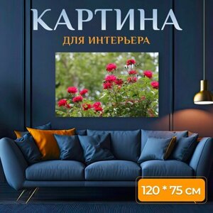 Картина на холсте "Роза, цветок, лепесток" на подрамнике 120х75 см. для интерьера