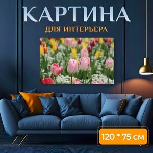 Картина на холсте "Тюльпан, цветок, луг" на подрамнике 120х75 см. для интерьера