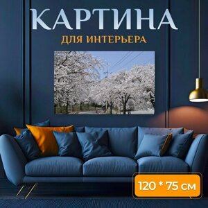 Картина на холсте "Вишня в цвету, весна, вишни в цвету" на подрамнике 120х75 см. для интерьера