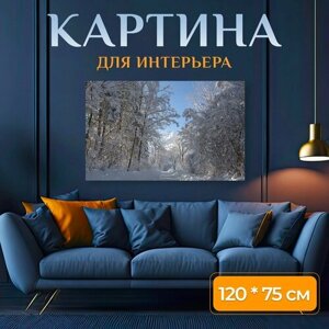 Картина на холсте "Зима, аллея, дорожка" на подрамнике 120х75 см. для интерьера