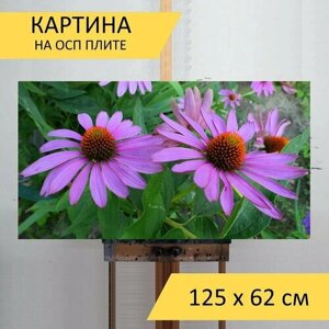 Картина на ОСП 125х62 см. Фиолетовый эхинацея, цветок, сад" горизонтальная, для интерьера, с креплениями