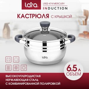 Кастрюля LARA LR02-474 MERCURY, 6,5л, d 24см, из нержавеющей стали, для всех типов плит.