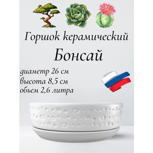 Керамический горшок "Бонсай" для бонсай, кактусов и суккулентов, диаметр 26 см, высота 8,5 см, белый