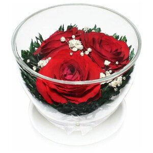 Композиция из натуральных красных роз в подарочной упаковке (6х8,5 см) / Стабилизированные цветы в стекле