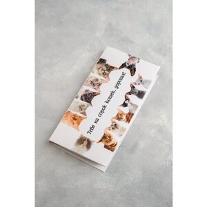 Конверт для денег с шоколадом "На сорок кошек"