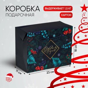 Коробка - пакет подарочная «Новогодняя ботаника», 23 18 11 см