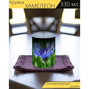 Кружка хамелеон с принтом "Васильковый, цветок, синий" 330 мл.