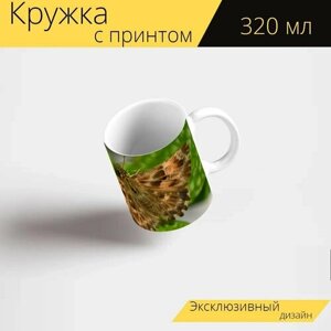 Кружка с рисунком, принтом "Бабочка, насекомое, мята" 320 мл.