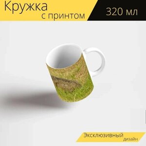 Кружка с рисунком, принтом "Кролик, заяц, поле" 320 мл.