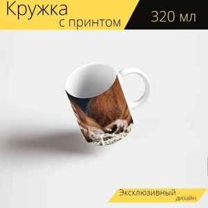 Кружка с рисунком, принтом "Обезьяна, животные, орангутанг" 320 мл.