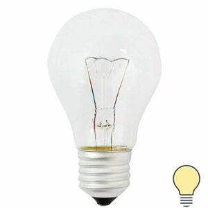 Лампа накаливания Bellight шар E27 60 Вт свет тёплый белый