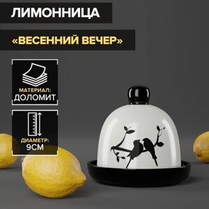 Лимонница Доляна «Весенний вечер», 99 см, цвет белый