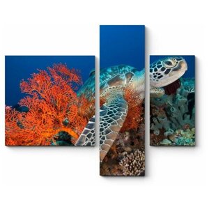 Модульная картина Морская черепаха в кораллах150x124