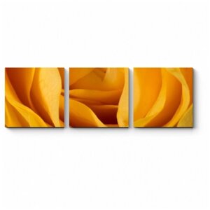 Модульная картина Солнечная роза 180x60