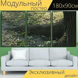 Модульный постер "Дерево, корень, корнеплоды" 180 x 90 см. для интерьера