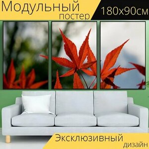 Модульный постер "Клен, листья, красный" 180 x 90 см. для интерьера