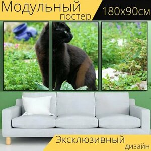 Модульный постер "Кот, чернить, домашнее животное" 180 x 90 см. для интерьера