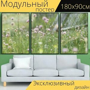 Модульный постер "Луг, трава, природа" 180 x 90 см. для интерьера
