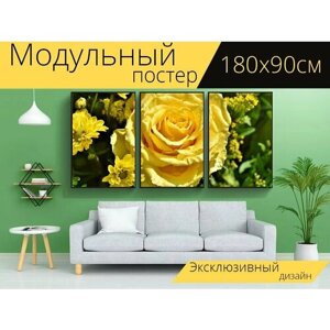 Модульный постер "Роза, бледно желтой розы, цвести" 180 x 90 см. для интерьера