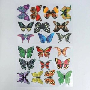 Наклейка без липкого слоя интерьерная цветная Музей бабочек 25х35 см