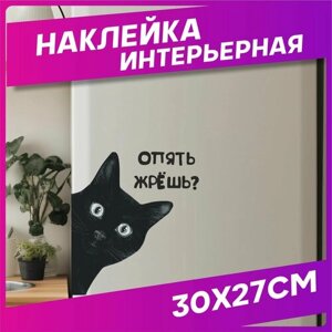 Наклейка на холодильник интерьерная Приколы Кот