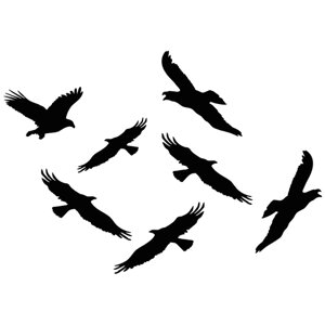 Наклейки-стикеры: силуэты хищных птиц (21 x 30) см - V8