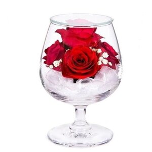 Natural Flowers Розы в стекле GSR (12,5 см)