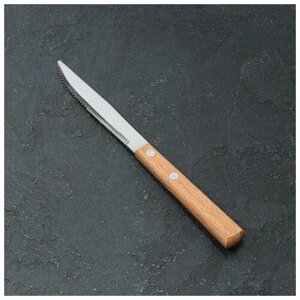 Нож столовый «Эко-стейк», h=20 см