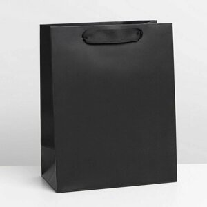 Пакет подарочный ламинированный, упаковка, "Чёрный", MS 18 x 23 x 10 см, 3 шт.
