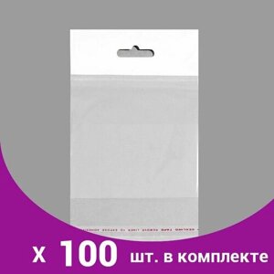 Пакет с липкой лентой 10 х 10/4 см, еврослот, 30 мкм (100 шт)