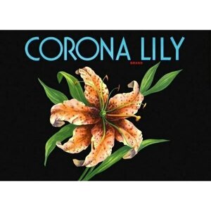 Плакат, постер на бумаге иностранный Corona Lily brand. Размер 60 х 84 см