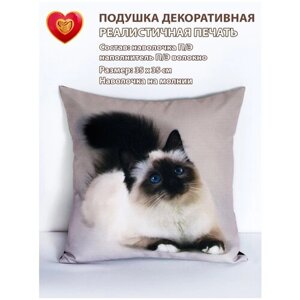 Подушка декоративная на диван 35х35 в подарок с фотопечатью кот маскарадный