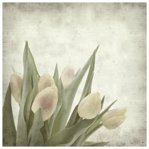 Постер на холсте Тюльпаны (Tulips)21 30см. x 30см.