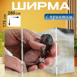 Ширма "Белка, бурундук, детка" раскладная перегородка для зонирования с принтом на холсте