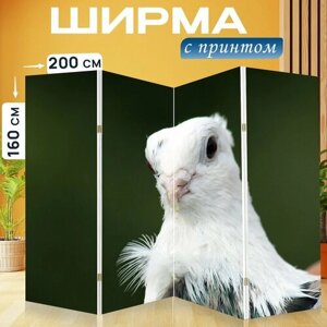 Ширма "Голубь, птица, перья" раскладная перегородка для зонирования с принтом на холсте