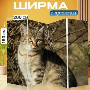 Ширма "Кошка, кошачий, усы" раскладная перегородка для зонирования с принтом на холсте