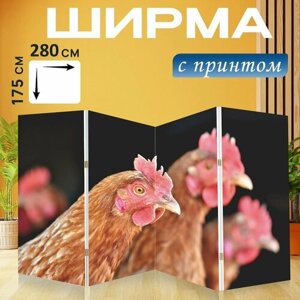 Ширма "Курица, домашняя птица, оковалок" раскладная перегородка для зонирования с принтом на холсте