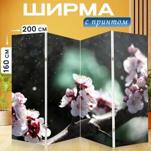 Ширма перегородка с принтом "Флора, дерево, белый" на холсте - 200x160 см. для зонирования, раскладная