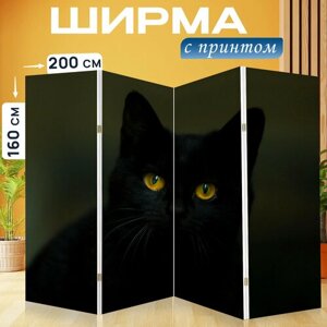 Ширма перегородка с принтом "Кошка, черный кот, животное" на холсте - 200x160 см. для зонирования, раскладная