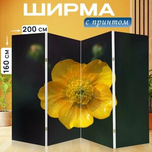 Ширма перегородка с принтом "Лютик, цветок, желтый" на холсте - 200x160 см. для зонирования, раскладная