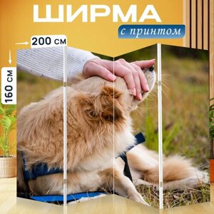 Ширма перегородка с принтом "Собака, золотой, животное" на холсте - 200x160 см. для зонирования, раскладная