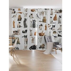 Шторы под лён JoyArty "Разнообразие котов", серия Oxford DeLux, 340х265 см